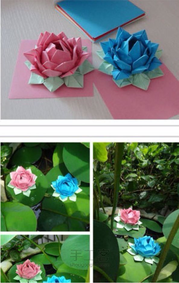 纸花制作----荷花折法 第5步