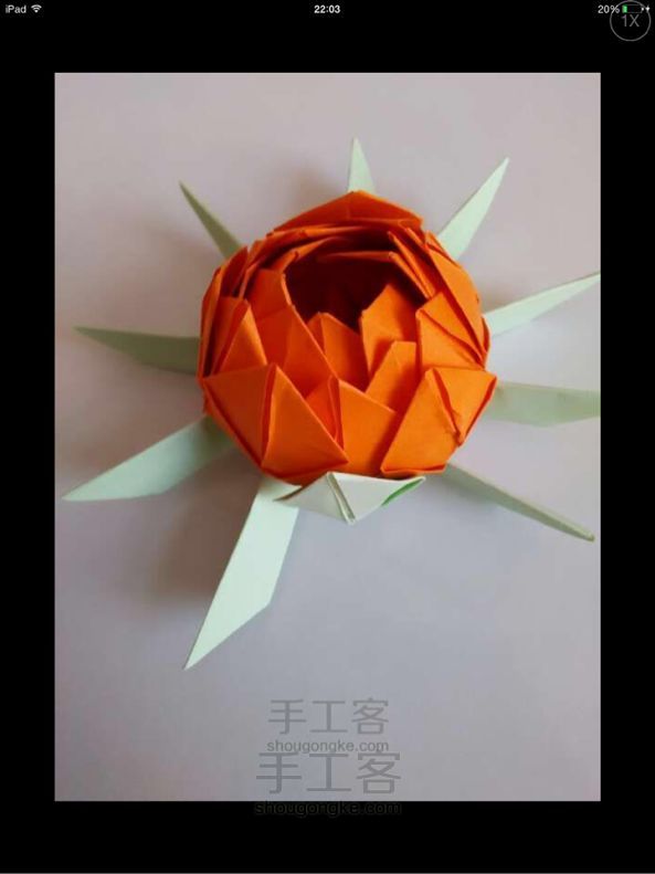 （转）纸折莲花制作方法 第28步