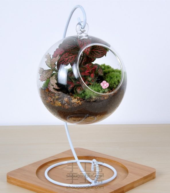 依雯然 ❤秋天的童话❤ DIY苔藓生态瓶盆栽 生日礼物 第2张