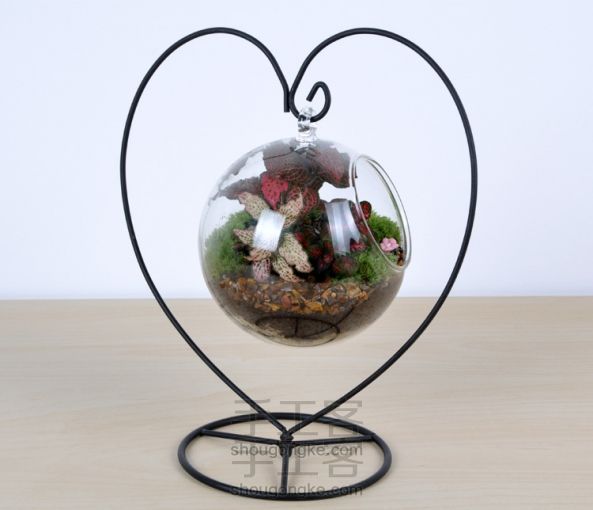 依雯然 ❤秋天的童话❤ DIY苔藓生态瓶盆栽 生日礼物 第1张