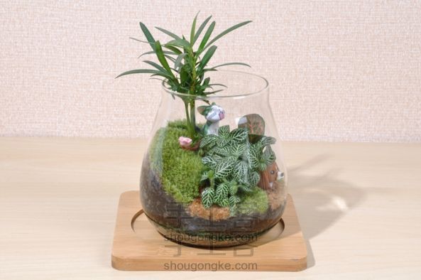 依雯然 ❤田野乡间❤ 创意礼物 绿色植物 苔藓微景观生态瓶  第3张