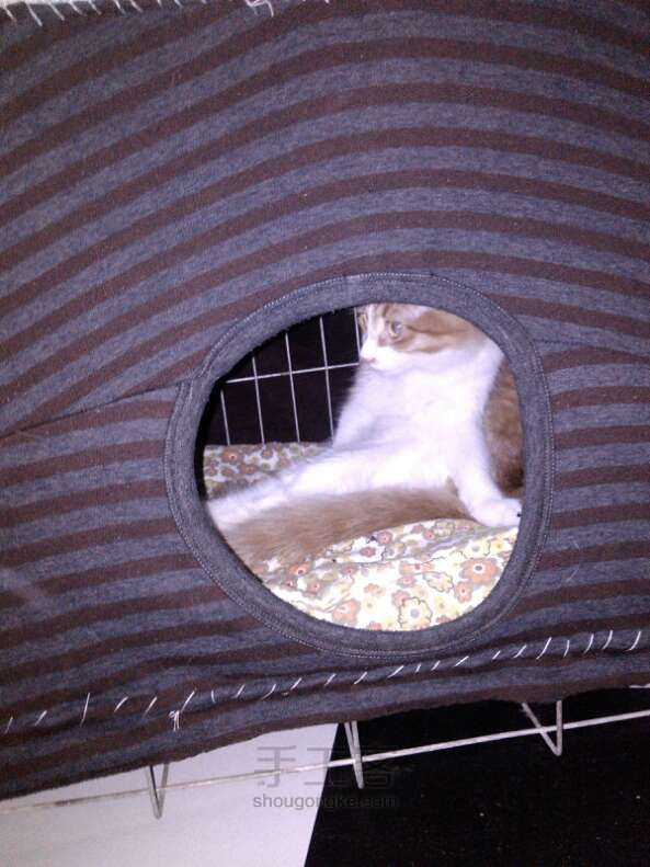 你家猫喜欢洞你知道吗？（原创）改造猫笼，让猫咪温暖一个冬天~ 第5步