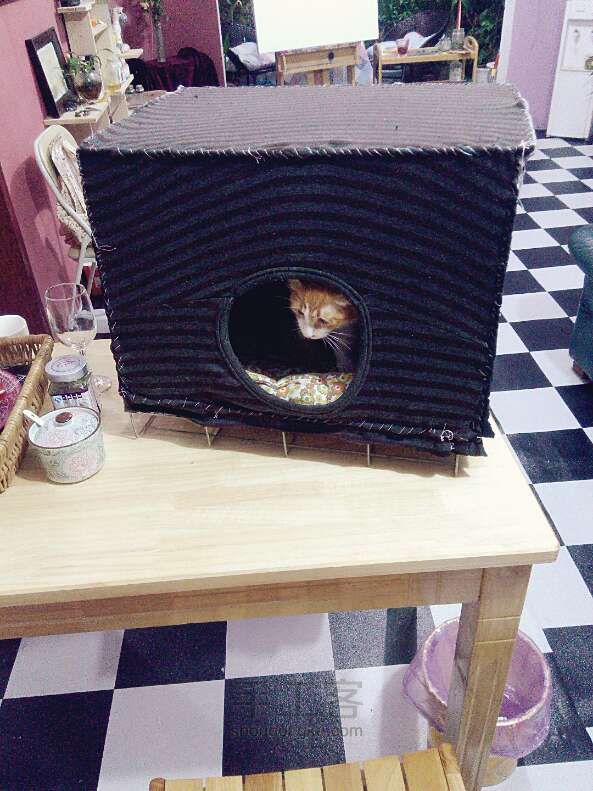 你家猫喜欢洞你知道吗？（原创）改造猫笼，让猫咪温暖一个冬天~ 第10步