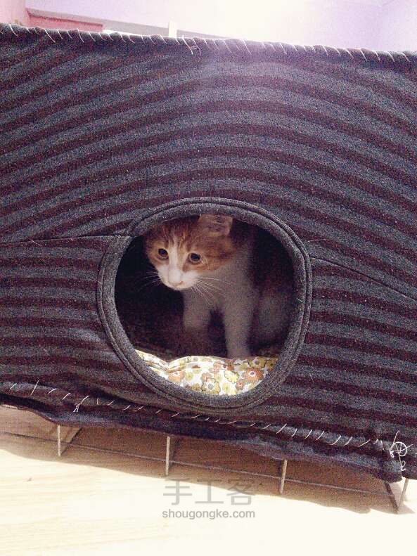 你家猫喜欢洞你知道吗？（原创）改造猫笼，让猫咪温暖一个冬天~ 第11步