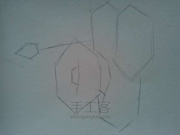 荷花__
彩铅画法 第1步