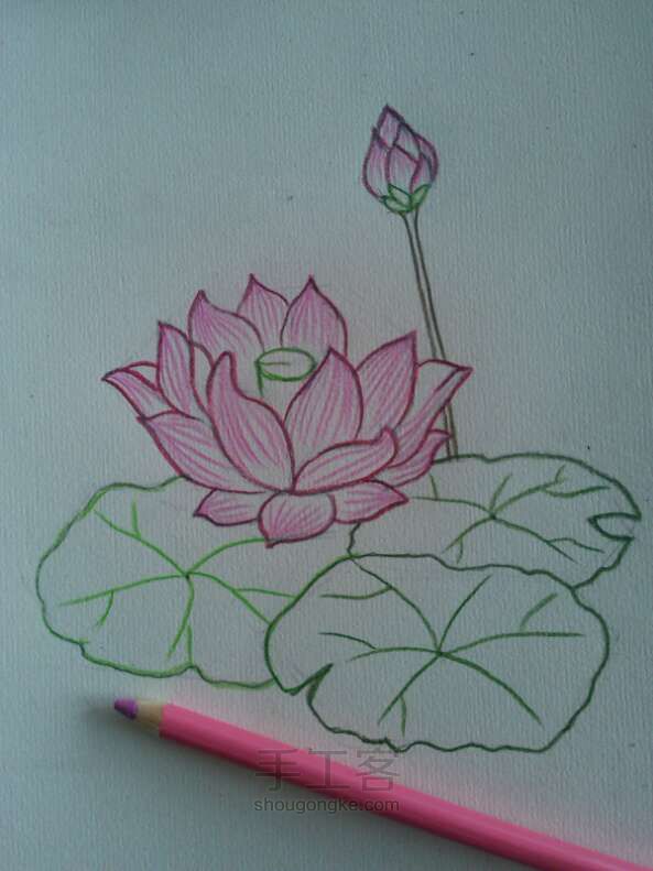 荷花__
彩铅画法 第5步