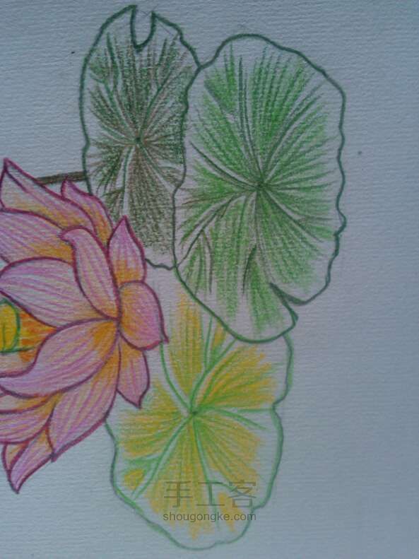 荷花__
彩铅画法 第9步