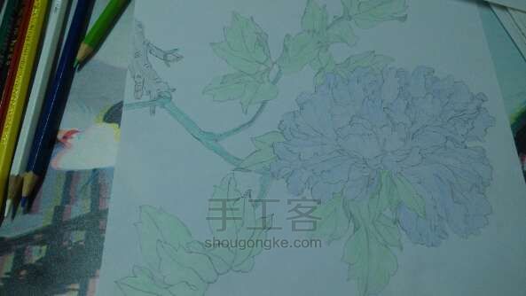 花鸟画 第2步