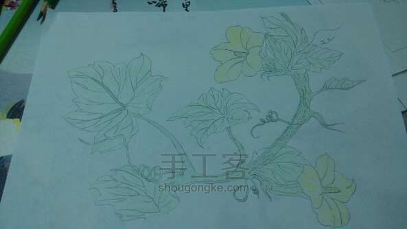 花鸟画 第4步