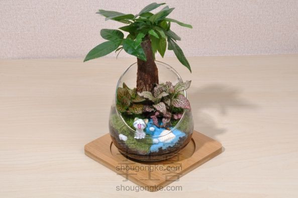 依雯然 ❤仲夏夜之梦❤ 桌面植物盆景 创意礼品