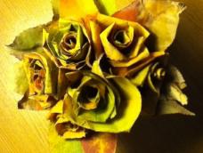 用枫叶制作玫瑰花束
向朋友学来的，和大家分享