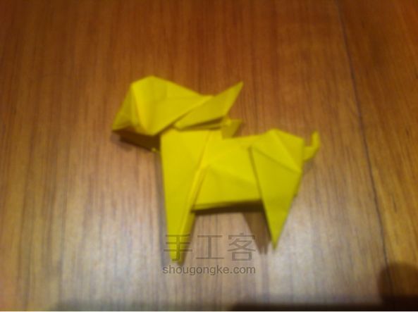 世界上最小的狗奇瓦瓦折纸制作教程 第64步