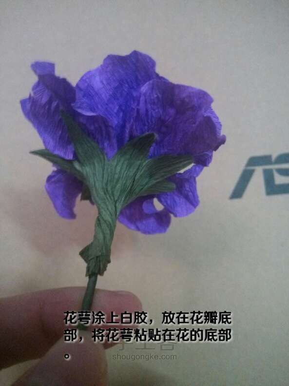 蔷薇花的教程 第12步