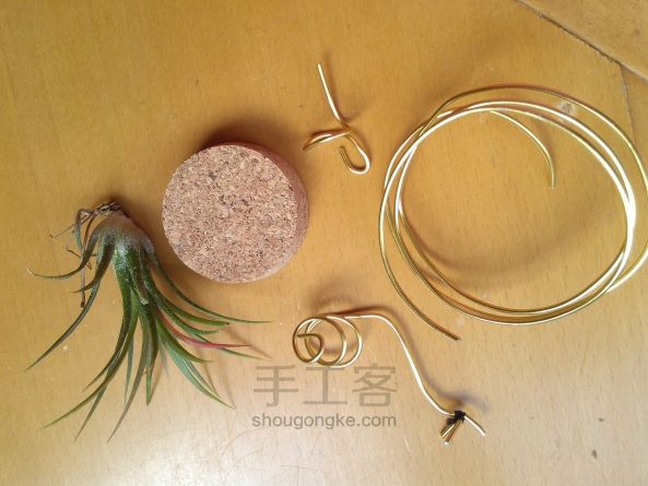 缠绕之美 2——凤凰、蜗牛空凤花架DIY教程 第1步