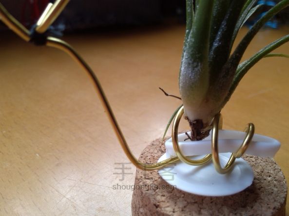 缠绕之美 2——凤凰、蜗牛空凤花架DIY教程 第2步
