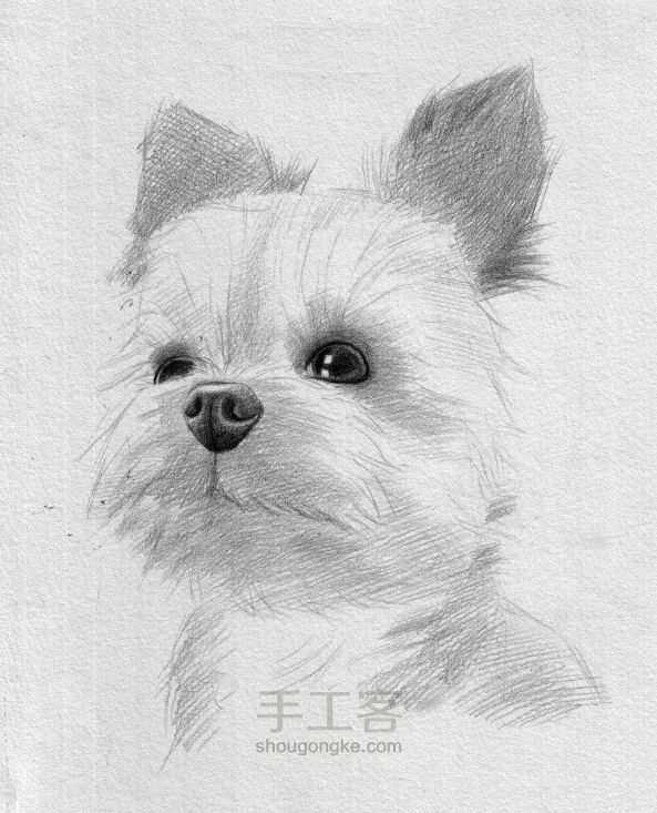 萌狗教程~1 第5步