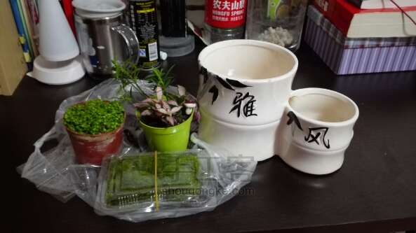 苔藓微景观step1 第1步