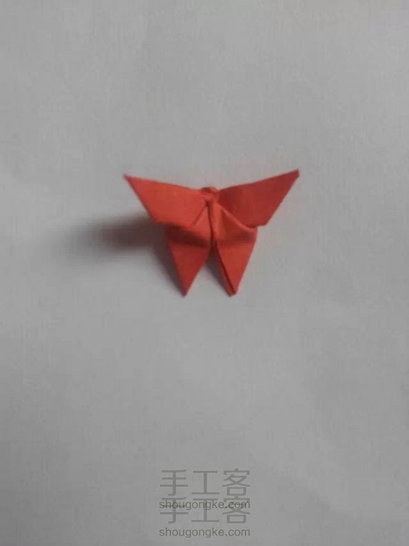 学《翩翩起舞的蝴蝶》