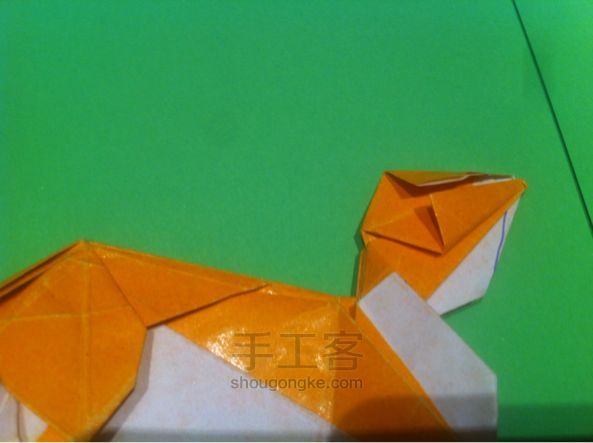 【狡猾的狐狸折纸】手工制作教程（二） 第71步