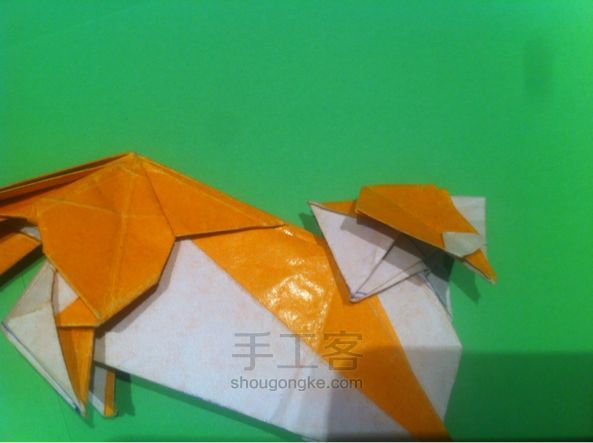 【狡猾的狐狸折纸】手工制作教程（二） 第77步