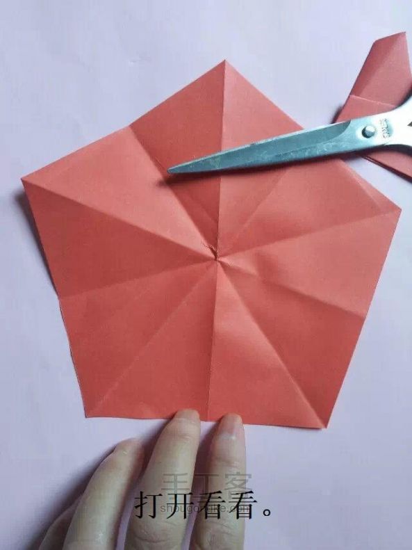 早开了的红木棉 折纸教程 第11步