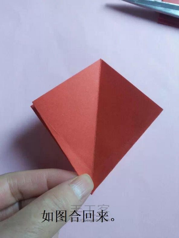 早开了的红木棉 折纸教程 第12步
