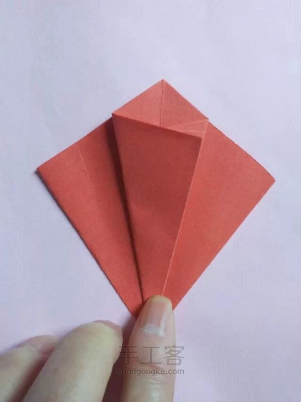早开了的红木棉 折纸教程 第14步