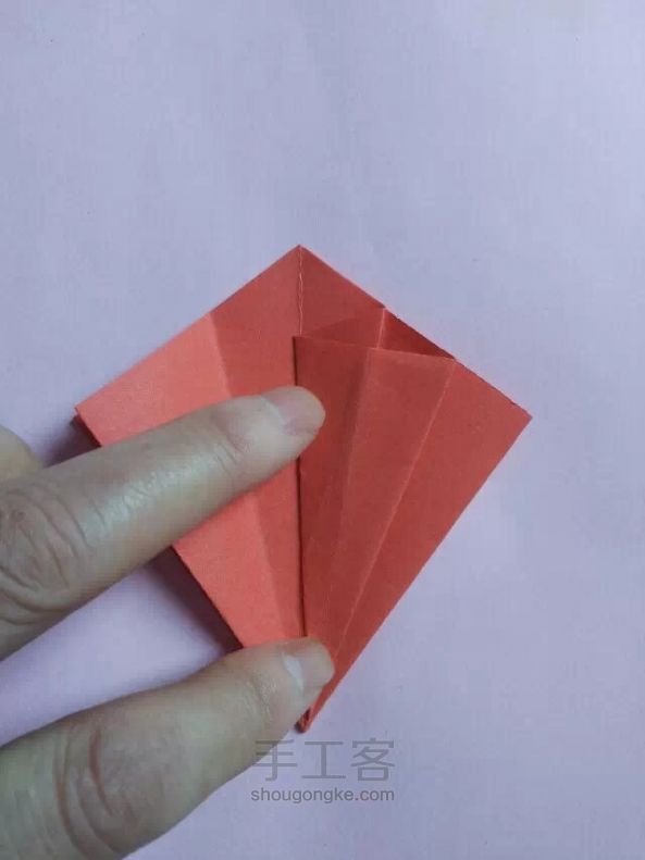 早开了的红木棉 折纸教程 第16步