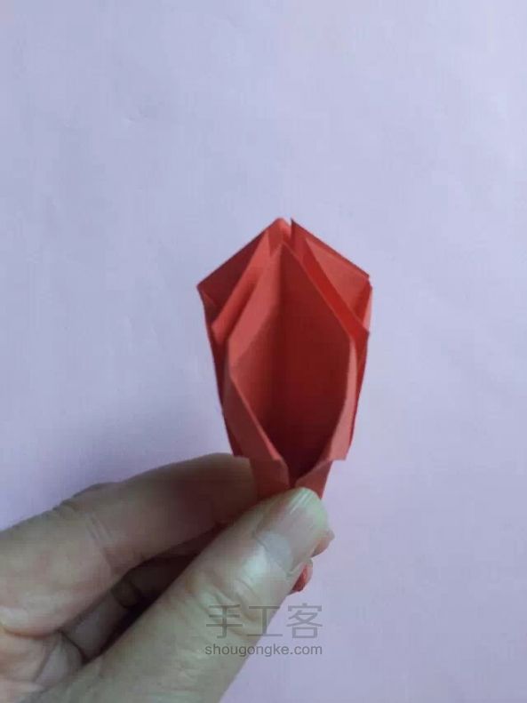 早开了的红木棉 折纸教程 第22步