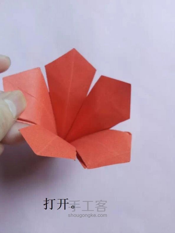 早开了的红木棉 折纸教程 第23步
