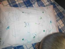 儿子的枕头用时间久了就洗不干净了，所以做个新枕头皮儿