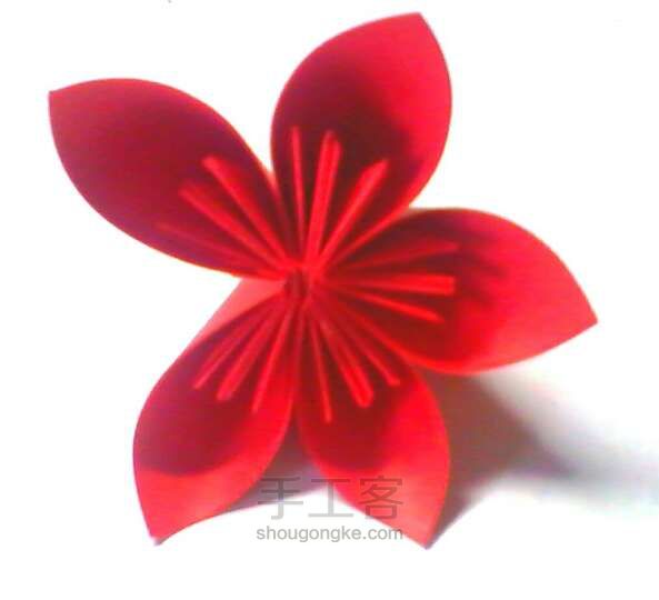 手工樱花 第11步