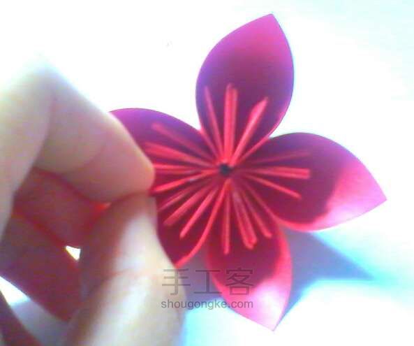 手工樱花 第12步