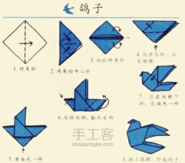 初·动物系列·和平鸽 第1步