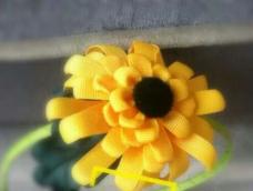 从小就痴迷向阳花，也许是对阳光的喜爱，又或者是对她的向往……