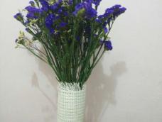 刚刚买了两束花！！花瓶不够高！！