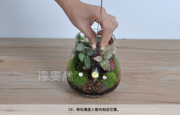 苔藓微景观，玩的是DIY 第11步