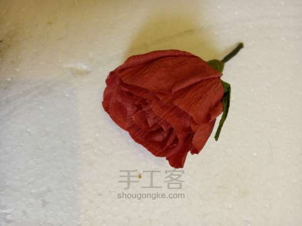 玫瑰，玫瑰我爱你。 第1步