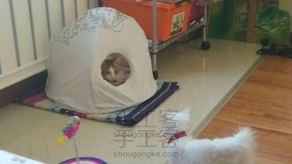 猫窝～猫帐篷