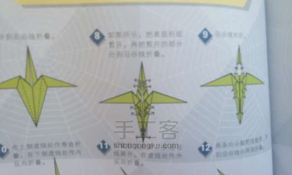 折纸飞龙教程 第6步