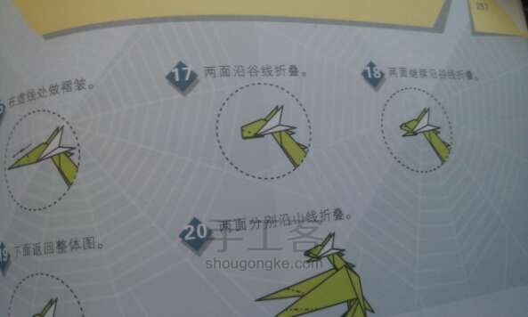 折纸飞龙教程 第9步