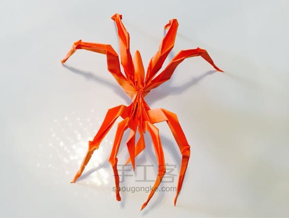 蜘蛛折纸制作教程 第54步