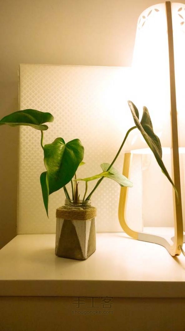 水泥花盆手工制作教程 第8步