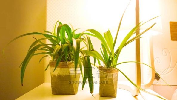 水泥花盆手工制作教程 第11步