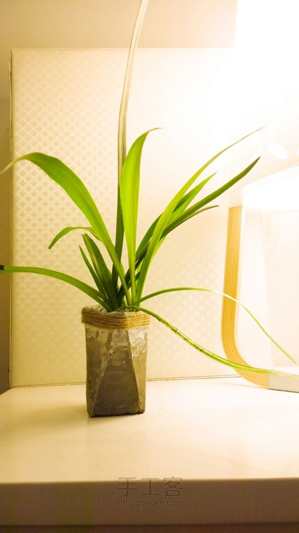 水泥花盆手工制作教程 第7步