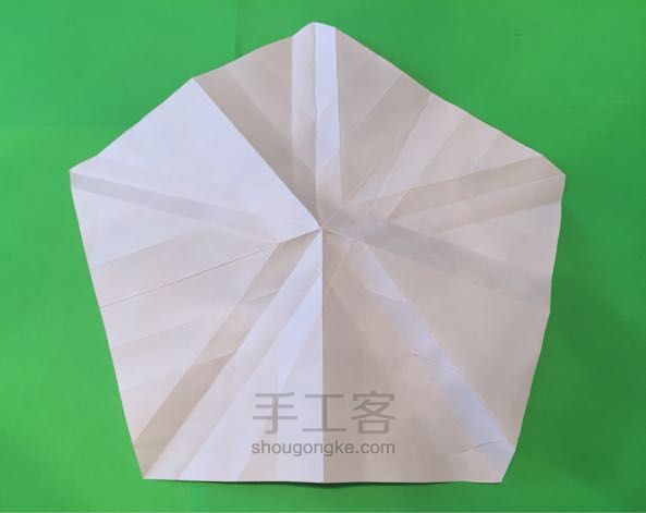 佐藤五瓣玫瑰折纸制作教程 第8步