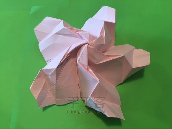 佐藤五瓣玫瑰折纸制作教程 第39步