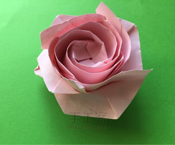 佐藤二重螺旋玫瑰折纸制作教程 第42步