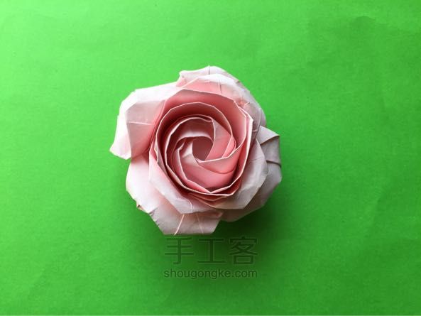 佐藤二重螺旋玫瑰折纸制作教程 第43步
