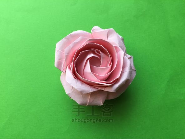 佐藤二重螺旋玫瑰折纸制作教程 第44步